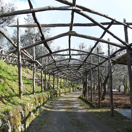 Lejlighedshotel Casale Del Nonno