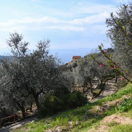 Casale Del Nonno 索伦托