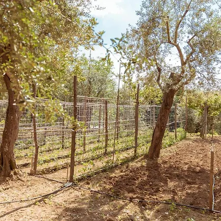 Casale Del Nonno 公寓式酒店 4*