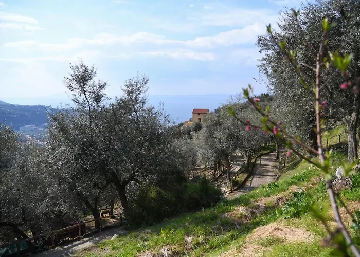 Casale Del Nonno Sorrento