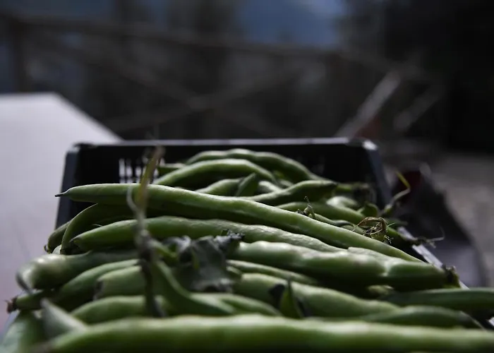 Casale Del Nonno Aparthotel 4*