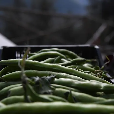 Casale Del Nonno Апарт-отель 4*