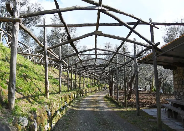 Apart-hotel Casale Del Nonno